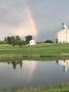 Rainbows - Wheatland county Alberta